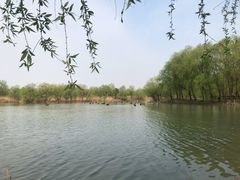 -长兴太湖图影湿地文化园