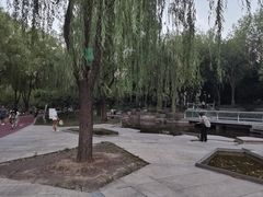 -南长河公园