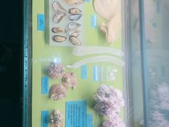 -天津自然博物馆