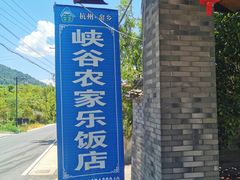 -峡谷农家乐饭店