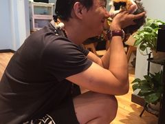 -藦茜花园宠物主题亲子互动体验馆(国顺东路店)