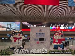 -哈尔滨太平国际机场-T2航站楼