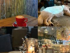 -咖法森林·咖啡  酒吧(天河店)