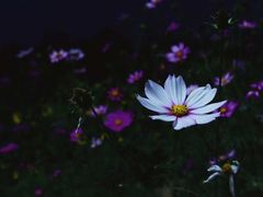 -武汉理工大学（南湖新校区）-图书馆