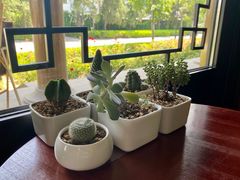 靠窗位-菩提树下茶咖鼓捣