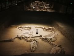 -洛阳周王城天子驾六博物馆