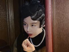 -武汉知音号