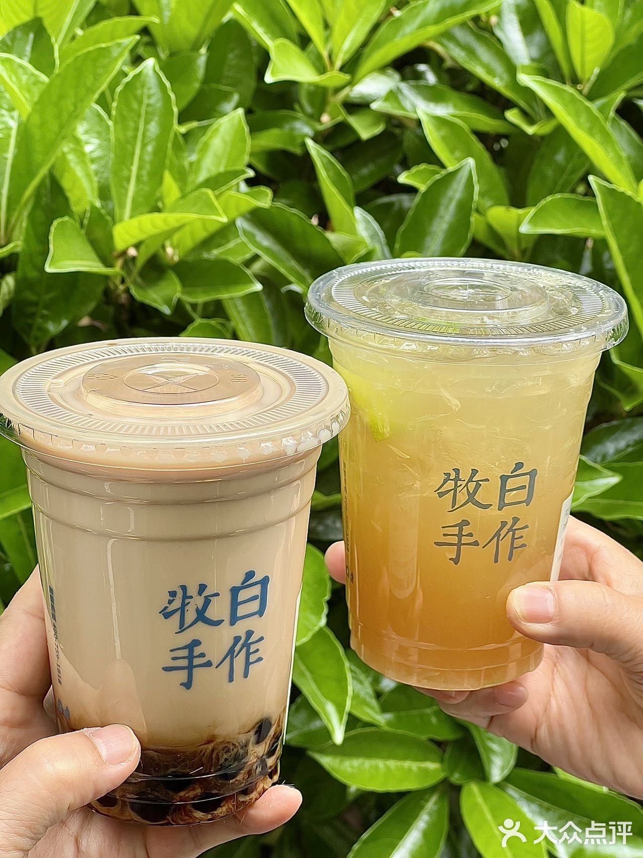 不吹不黑，真的好喝！