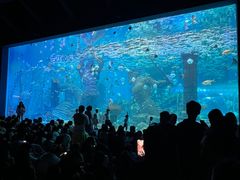 -波塞冬旅游度假区