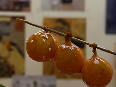 -诚家·日式烧鸟·深夜食堂(虹桥天街店)