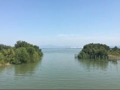 -深圳湾公园(南山区)