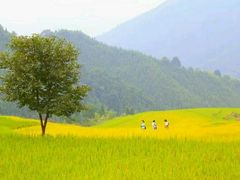 -牛鱼嘴原始生态风景区