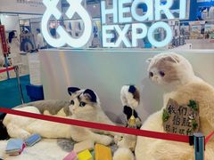 -东浩兰生上海世博展览馆