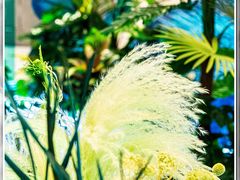 -杭州平安悦坊 PAFC LIVING