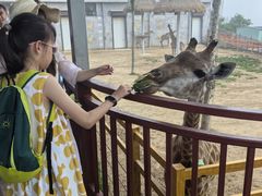 -西霞口神雕山野生动物世界