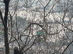 -天津盘山风景名胜区