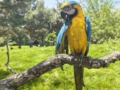 -北京野生动物园