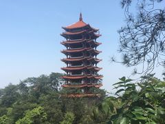 -缙云山景区