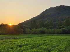 -八卦田遗址公园