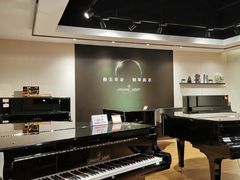 -柏斯音乐艺术中心·钢琴·吉他(上音店)