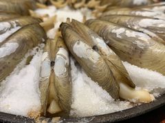 蜆子-渔娘渔家丹东海鲜(东直门店)