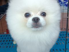 -北京恒爱动物医院(清景园分院)