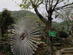 -东白山