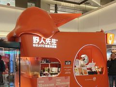 -野人先生现做冰淇淋(北京王府井东方新天地店)