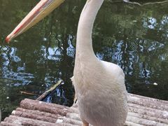 -济南野生动物世界