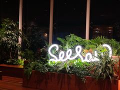 -Seesaw Coffee(朝阳大悦城店)