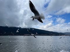 -海埂大坝