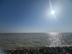 -合肥滨湖国家森林公园