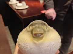 -永安鱼庄·镇江菜(东吴路店)