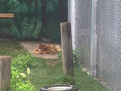 -西安秦岭野生动物园