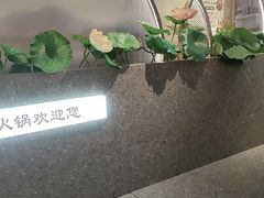 -新辣道鱼火锅(龙旗广场店)