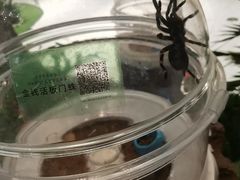 -杭州平安悦坊 PAFC LIVING
