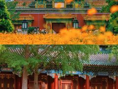 -北海公园