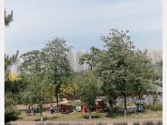 -永定河休闲森林公园