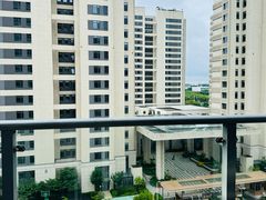 -泰康之家·申园