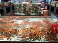 -尚海豆捞(乐虹坊店)