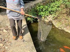 -途中饭店(开化店)