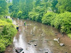 -重庆彩云湖湿地公园