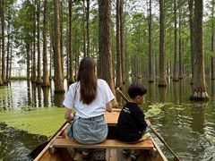 -渌洋湖湿地公园