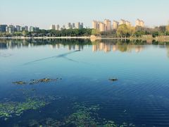 -尚贤河湿地