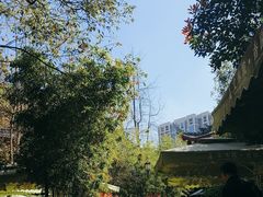 -成都市文殊院
