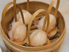 招牌虾饺皇-金鼎轩(方庄天坛店)