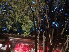 -三只耳火锅(宽窄巷子店)