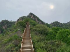 -大岭沟猕猴桃谷风景区