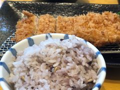 -胜博殿日式炸猪排(西红门店)