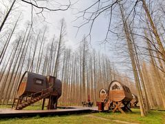 -黄海国家森林公园